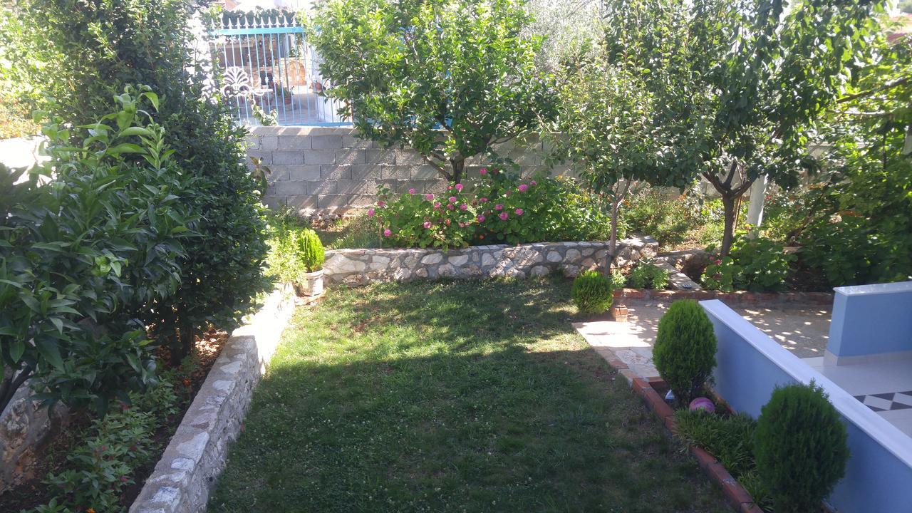 Apartment Zeka *